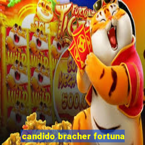 candido bracher fortuna